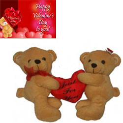 Couple teddy 