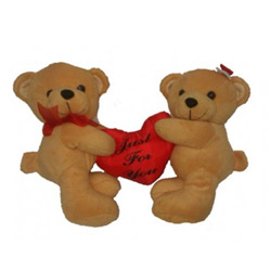 Couple Teddy