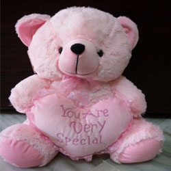 pink teddy