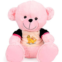 pink teddy