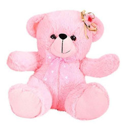 pink teddy