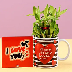 Lucky Bamboo Love Combo