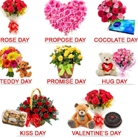 valentines Day Valentine Week