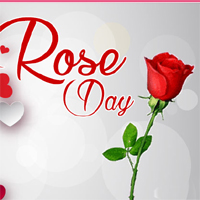 Rose Day Valentines day