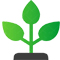 Natural-Plants